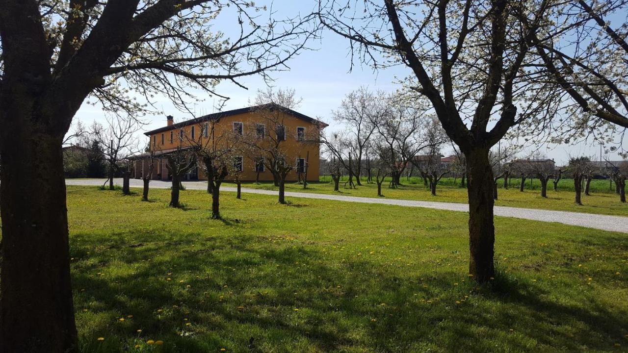 Agriturismo Borgo Borromeo Villa Rubano Luaran gambar